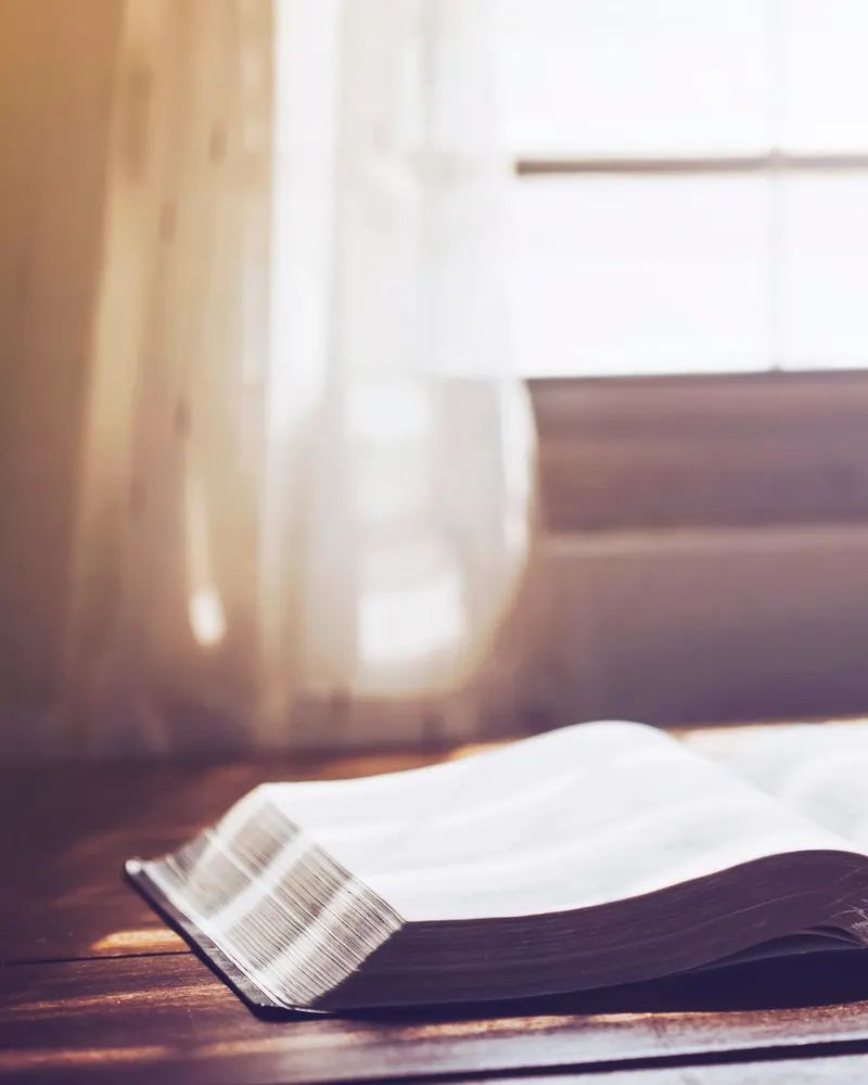 An open Bible resting on a table, lit by soft daylight through a curtain.
